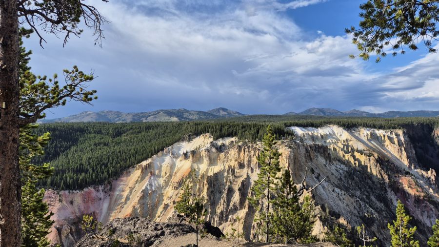 הגראנד קניון של ילוסטון